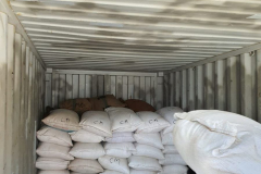 Export Perdana Ke Malaysia 03