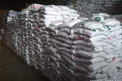 WhatsApp-Image-2020-06-02-at-19.55.45-2-e1768381414648