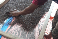 WhatsApp-Image-2020-06-02-at-20.14.57